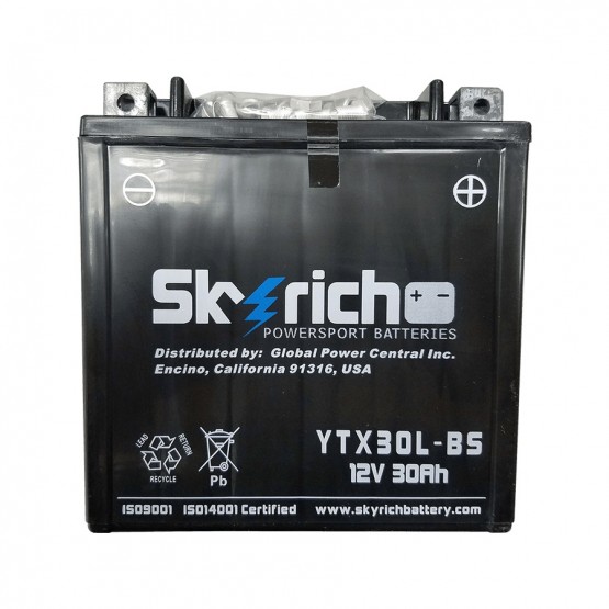 SKYRICH YTX30L-BS - аккумулятор SKYRICH YTX30L-BS - аккумулятор