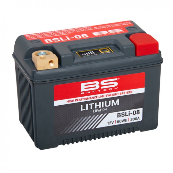 BS-BATTERY BSLi-08 - аккумулятор LiFePO4 BS-BATTERY BSLi-08 - аккумулятор LiFePO4