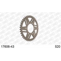 AFAM 17606-43 - звезда приводная ведомая алюминиевая (JTR478.43)
