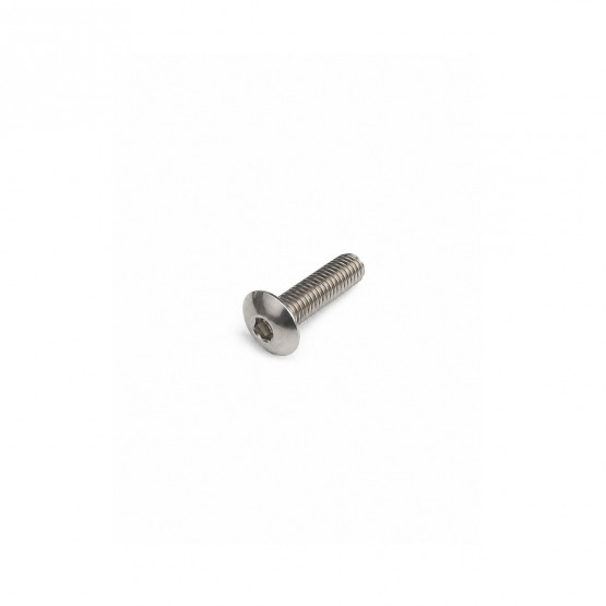 CNAE - болт под шестигранник со сферической головкой M6 Stainless Steel, 20 мм. CNAE - болт под шестигранник со сферической головкой M6 Stainless Steel, 20 мм.