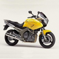 Yamaha TDM900 - 2002-2010 г.в.