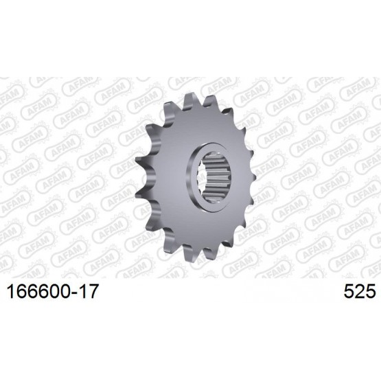 AFAM 166600-17 - звезда передняя (JTF704.17)