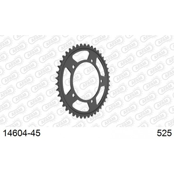 AFAM 14604-45 - звезда задняя (JTR1792.45)