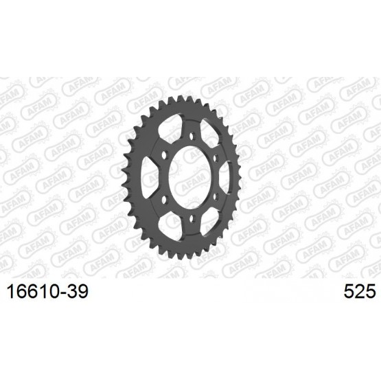 AFAM 16610-39 - звезда задняя (JTR1489.39)