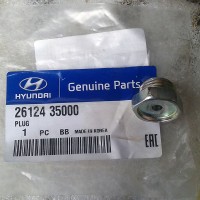 HYUNDAI/KIA 26124-35000 - пробка масляного насоса