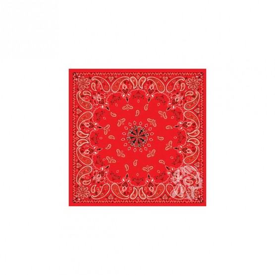 ZAN B003 - бандана Red Paisley