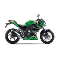 Kawasaki Z300 - 2015-2018 г.в.